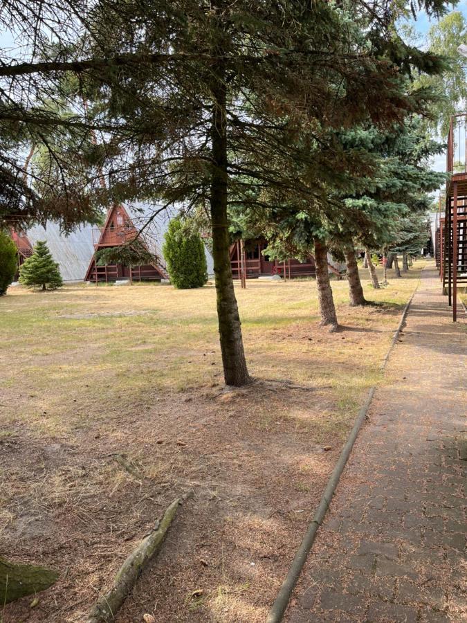 Sloneczna Osada Villa Dziwnowek Exterior photo